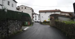 Dos casas independientes más local y jardín en Arantza