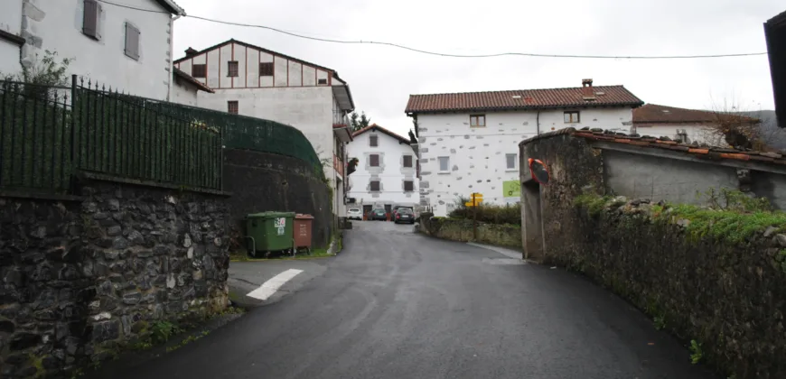Dos casas independientes más local y jardín en Arantza