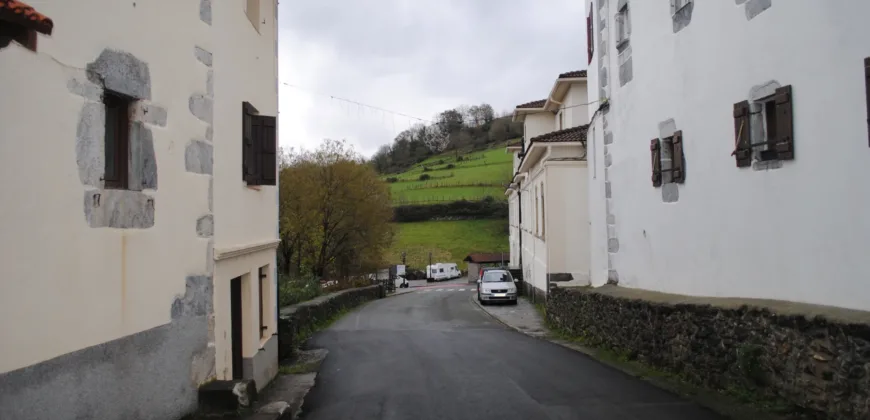 Dos casas independientes más local y jardín en Arantza