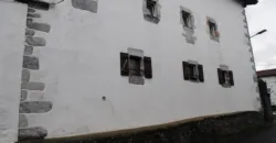 Dos casas independientes más local y jardín en Arantza