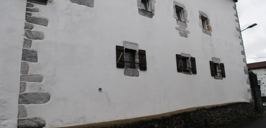 Dos casas independientes más local y jardín en Arantza