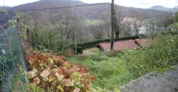 Dos casas independientes más local y jardín en Arantza