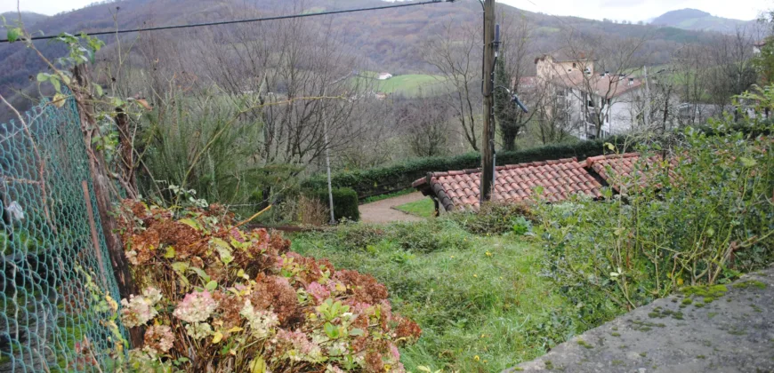 Dos casas independientes más local y jardín en Arantza