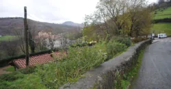 Dos casas independientes más local y jardín en Arantza