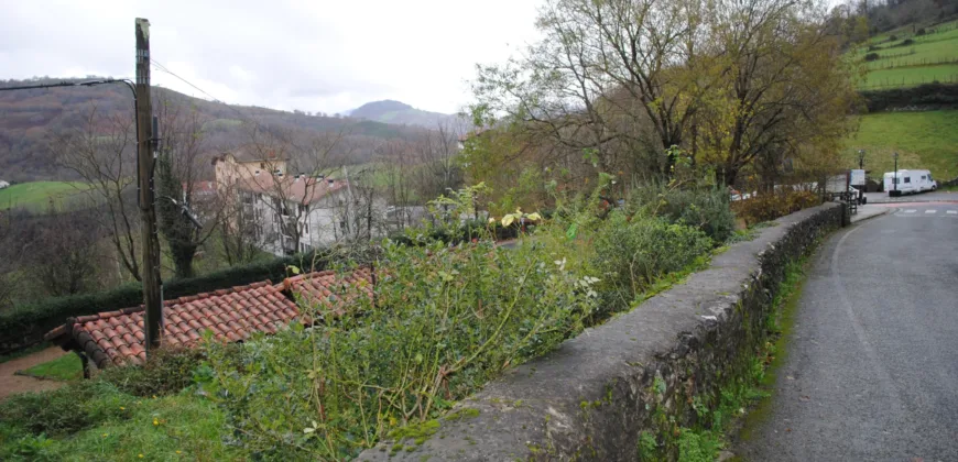 Dos casas independientes más local y jardín en Arantza