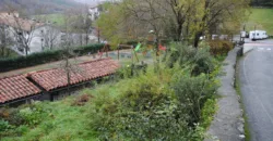 Dos casas independientes más local y jardín en Arantza