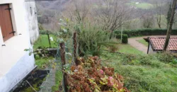 Dos casas independientes más local y jardín en Arantza