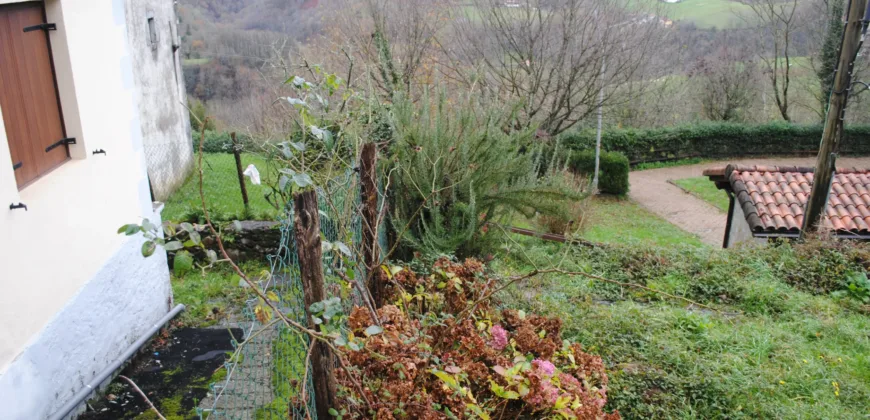 Dos casas independientes más local y jardín en Arantza