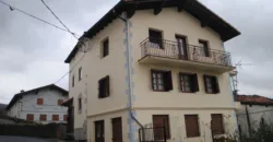 Dos casas independientes más local y jardín en Arantza