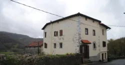 Dos casas independientes más local y jardín en Arantza