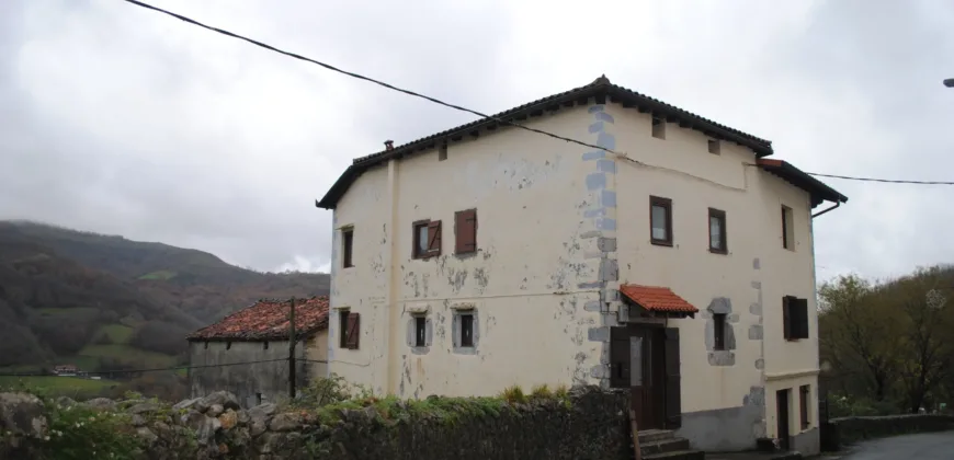 Dos casas independientes más local y jardín en Arantza