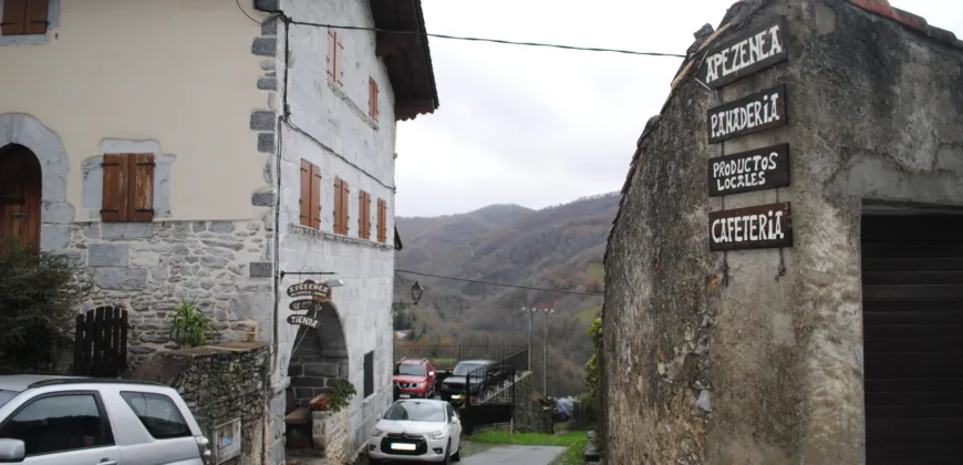 Dos casas independientes más local y jardín en Arantza