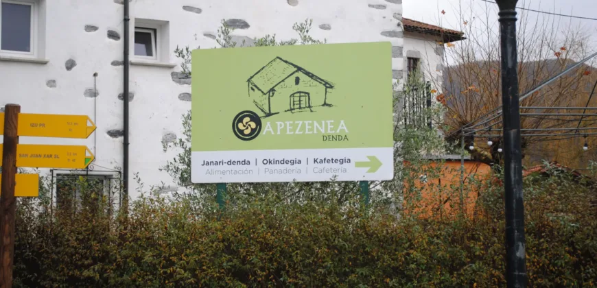 Dos casas independientes más local y jardín en Arantza