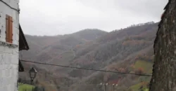 Dos casas independientes más local y jardín en Arantza