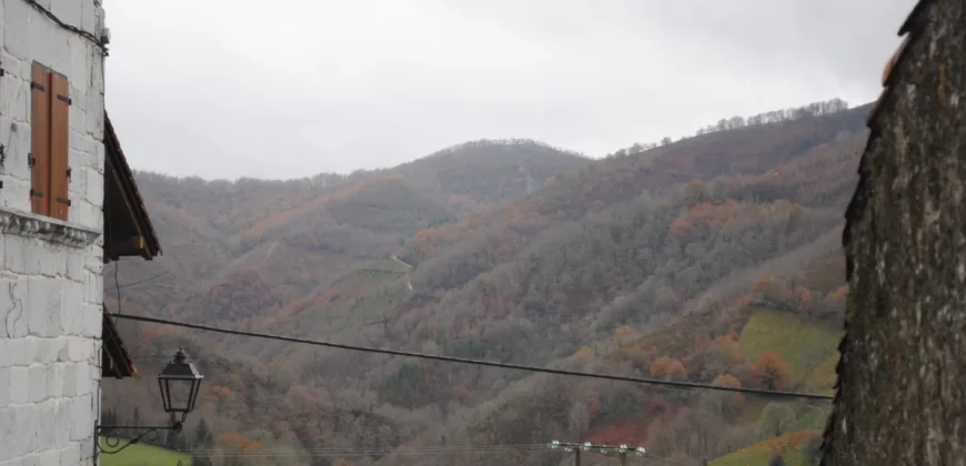 Dos casas independientes más local y jardín en Arantza