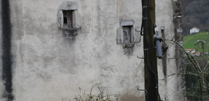 Dos casas independientes más local y jardín en Arantza