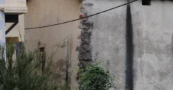 Dos casas independientes más local y jardín en Arantza