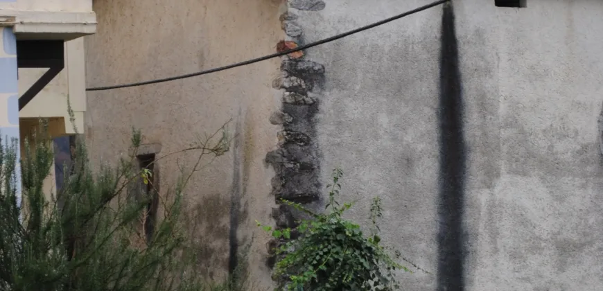 Dos casas independientes más local y jardín en Arantza