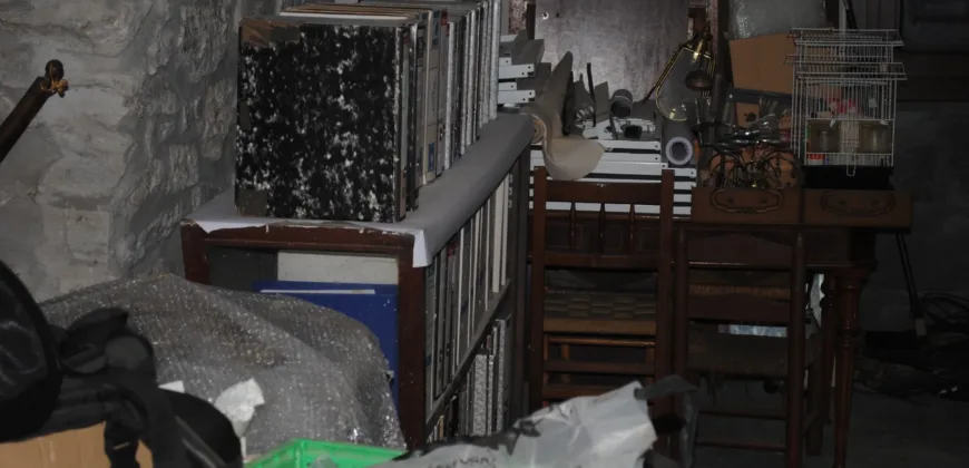 Dos casas independientes más local y jardín en Arantza