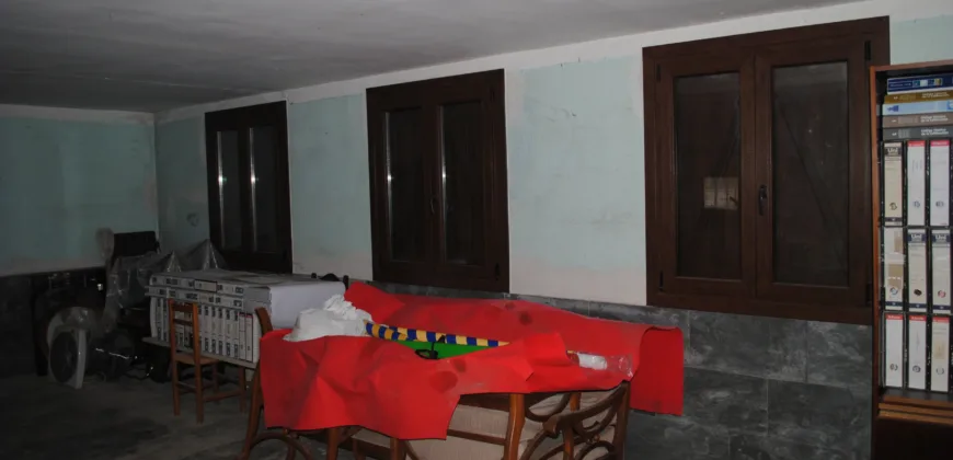 Dos casas independientes más local y jardín en Arantza