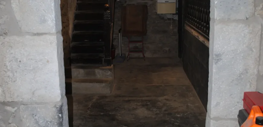 Dos casas independientes más local y jardín en Arantza