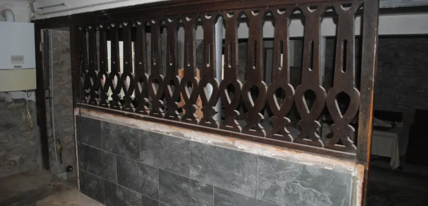 Dos casas independientes más local y jardín en Arantza