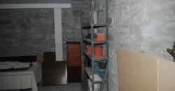 Dos casas independientes más local y jardín en Arantza