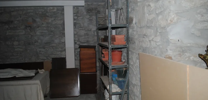 Dos casas independientes más local y jardín en Arantza