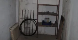 Dos casas independientes más local y jardín en Arantza