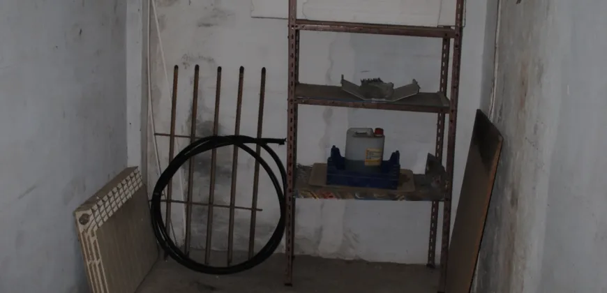 Dos casas independientes más local y jardín en Arantza