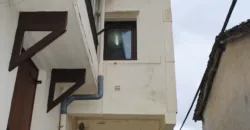 Dos casas independientes más local y jardín en Arantza