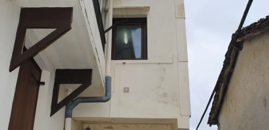 Dos casas independientes más local y jardín en Arantza