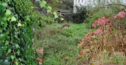 Dos casas independientes más local y jardín en Arantza