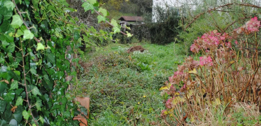 Dos casas independientes más local y jardín en Arantza