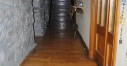 Dos casas independientes más local y jardín en Arantza