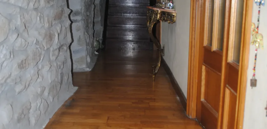 Dos casas independientes más local y jardín en Arantza