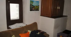 Dos casas independientes más local y jardín en Arantza