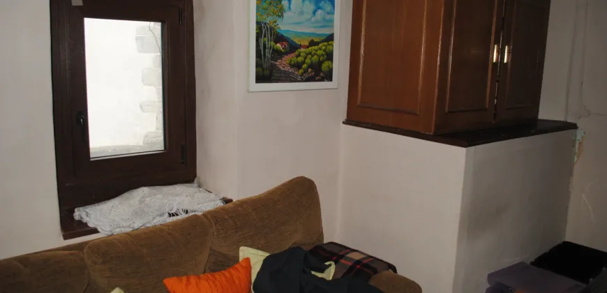 Dos casas independientes más local y jardín en Arantza