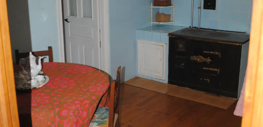 Dos casas independientes más local y jardín en Arantza