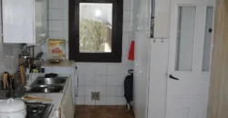 Dos casas independientes más local y jardín en Arantza