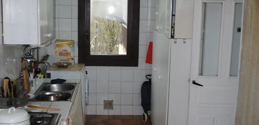 Dos casas independientes más local y jardín en Arantza