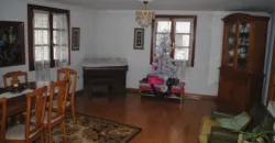 Dos casas independientes más local y jardín en Arantza