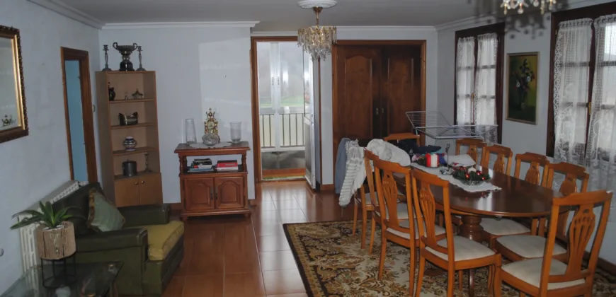 Dos casas independientes más local y jardín en Arantza