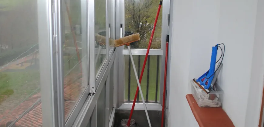 Dos casas independientes más local y jardín en Arantza