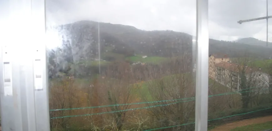 Dos casas independientes más local y jardín en Arantza